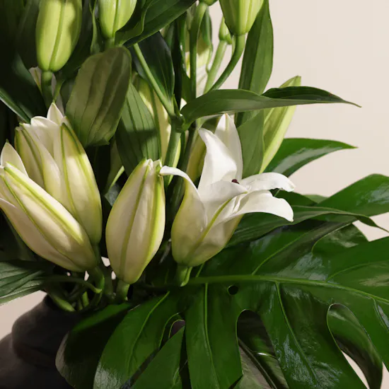 Memo Paris Perfume | Lily Vase