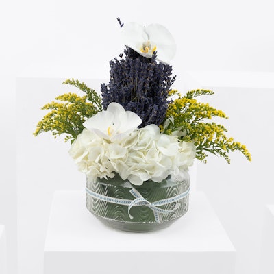 Tropical fizz | Orchid & Lavender
