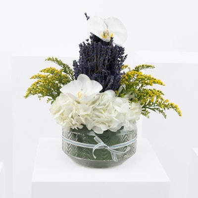 Orchid & Lavender