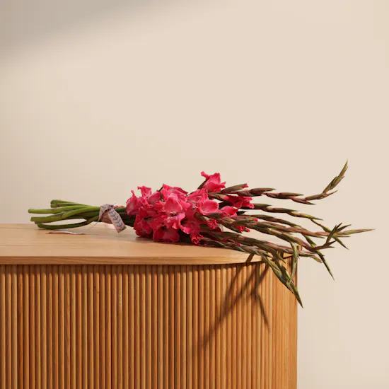 Gladiolus La Zamora | Flowers Bouquet
