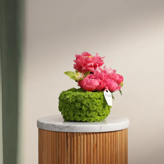Peony Coral Charm Paradise