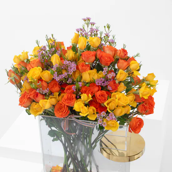 Yellow & Orange Petal Harmony