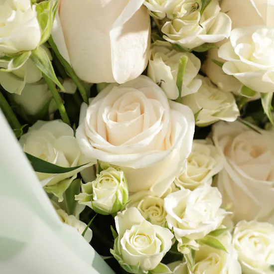 Sweet Romance | Green Wrap