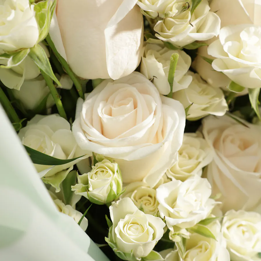 Sweet Romance | Green Wrap 3