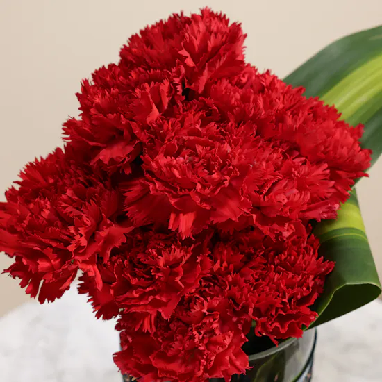 Astounding Red Carnation Vase