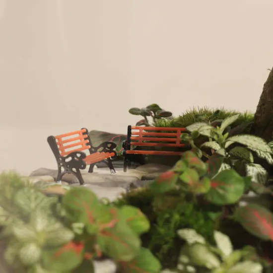 Ficus Bonsai Garden | Closed Terrarium