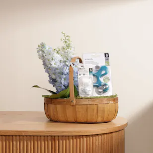 Suavinex Soother and Teether For Babies| Blue flowers