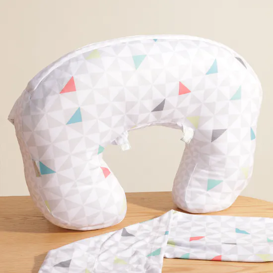 Ingenuity Plenti+ Colorful Nursing Pillow and Cover Set
