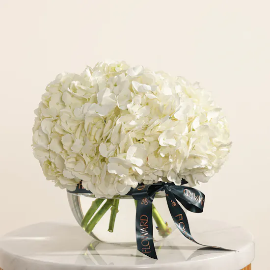 Gentle Love Hydrangea Vase
