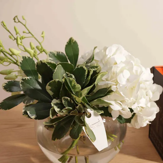 Jazean Coffee Beans | Angelic Vase