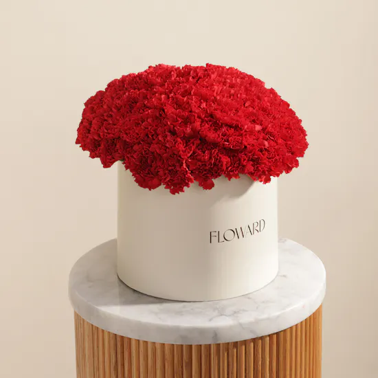 Emotional Red Carnation Box | 75 Flowers