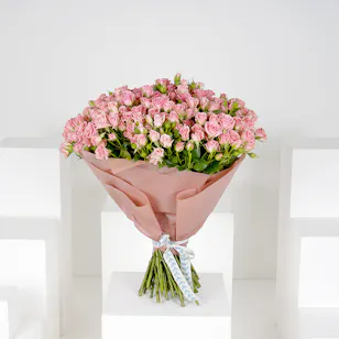 70 Pink Baby Roses V 70 Pink Baby Roses V