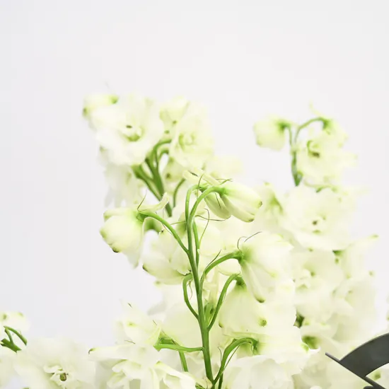 Delphiniums Wedding Vase