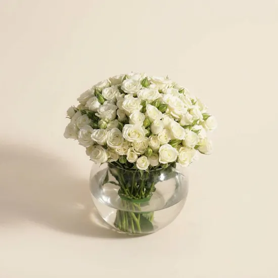 Pure Baby Rose Vase | 35 Flowers