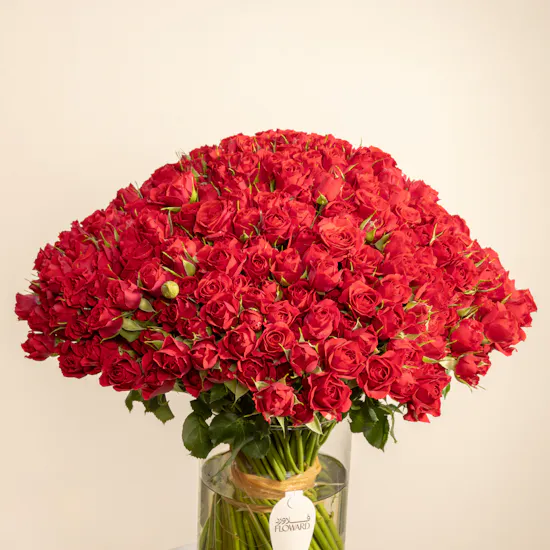 100 Red Baby Roses Vase