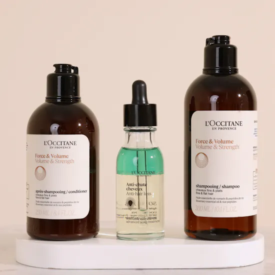 L'Occitane Volume and Strength Hair Care Trio | Floward Small Cuddly Brown Plush Bear Toy