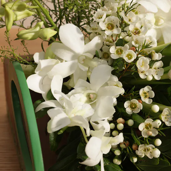 Bostani Sweet Roses of Our Homeland Favors
