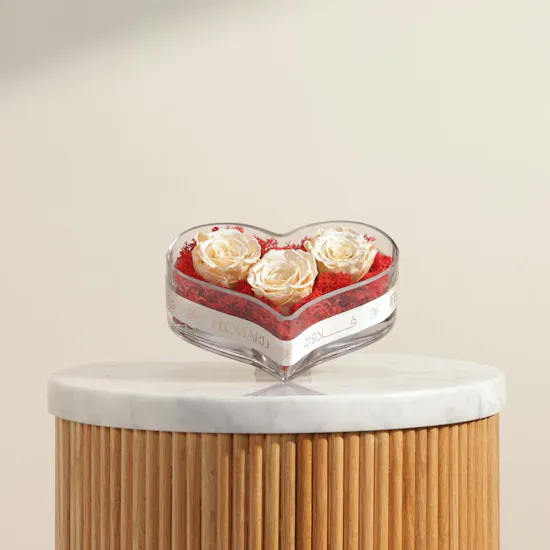 Pure Devotion Preserved Satin Cream Rose Vase