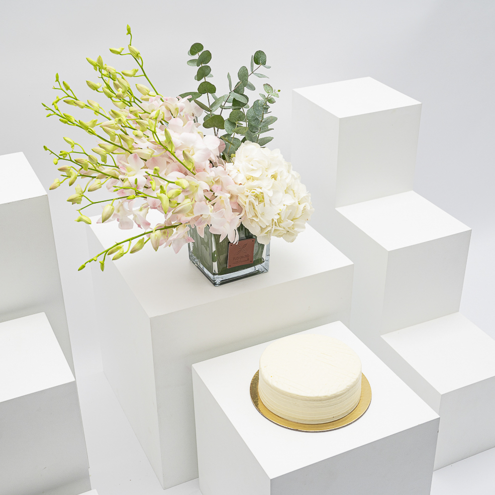 كيك فانيلا من منش بيكرى | النقاء الأبيض