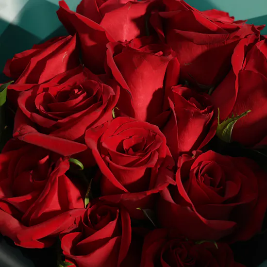 Almosafer 1000 Almosafer Points Gift Card | Red Rose Bouquet