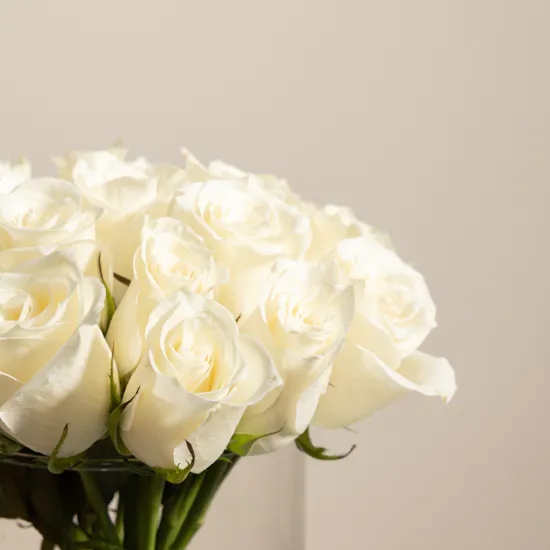 Ivory Elegance Rose Vase