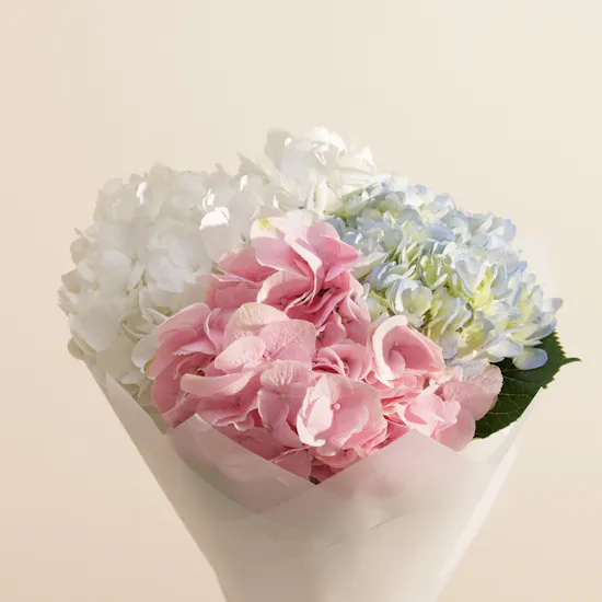 Sweet Atelier Gender Reveal Cake for Girls | Charm Flower Bouquet and Balloons