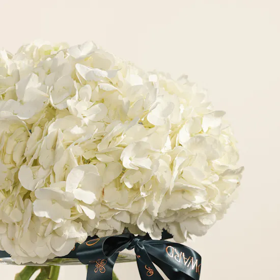 Gentle Love Hydrangea Vase