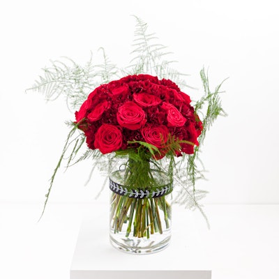 Cerise Rose Cerise Rose