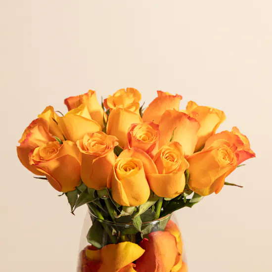 Radiant Orange Rose Vase