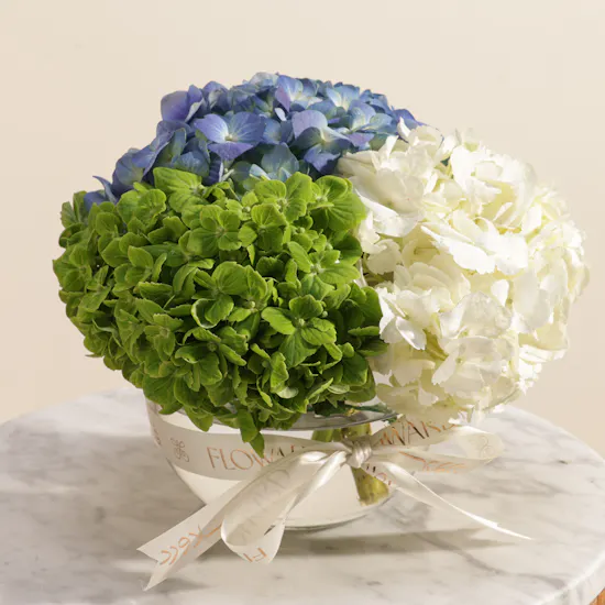 Refreshing Hydrangea Vase