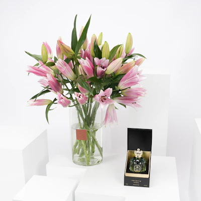 عطر ياسانيا | ليليوم وردي عطر ياسانيا | ليليوم وردي