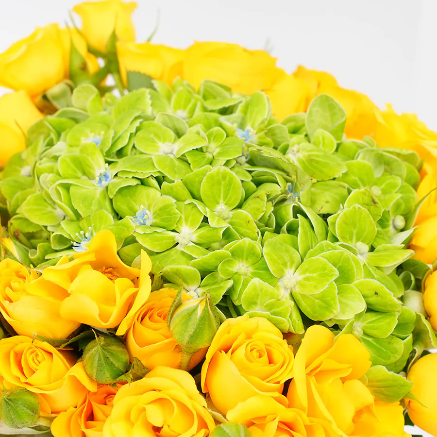 Vibrant Yellow | Ibrahim Alqurashi Fragrance  5