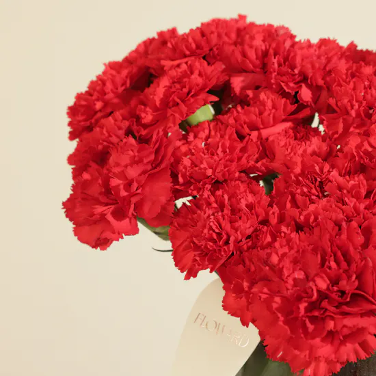 Velvet Promise Duo Carnation Vase