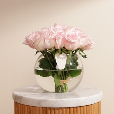 Light Pink Roses | Glass Vase