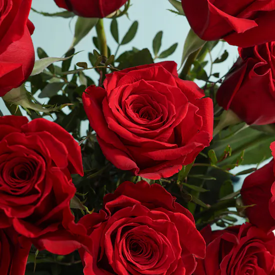 Dawn’s Embrace Red Roses Bouquet