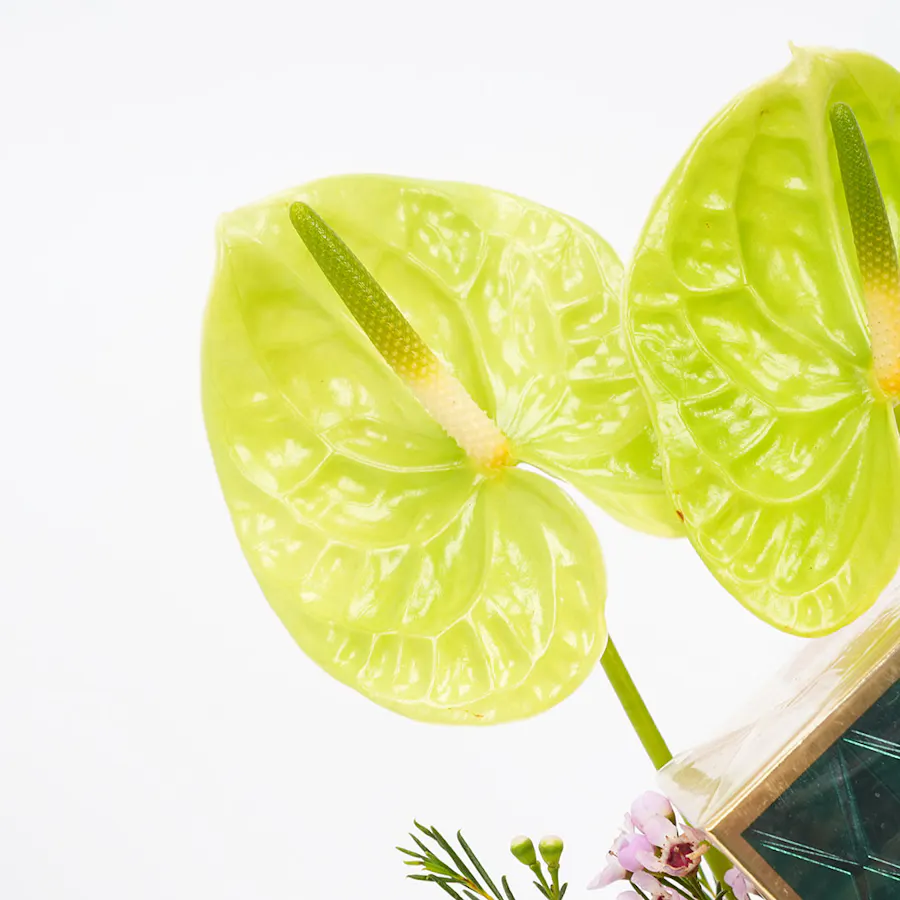 Ibrahim Alqurashi Fragrance | Bright Blooms 4