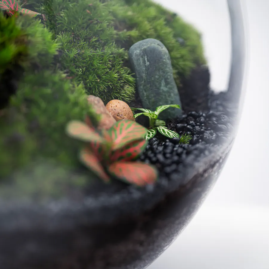Little Forest Cottages | Closed Terrarium  3