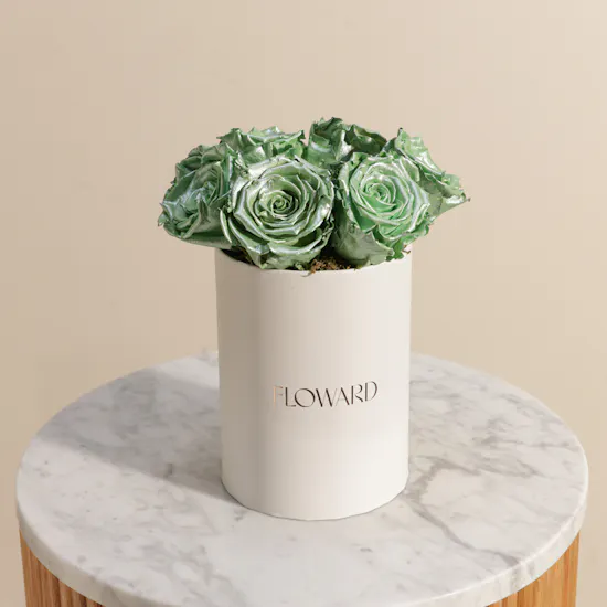 Preserved Green Roses Box