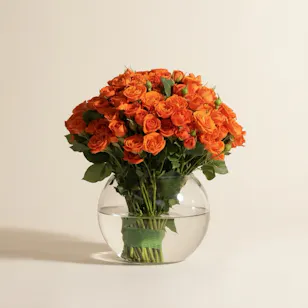 Bright Baby Rose Vase | 35 Flowers