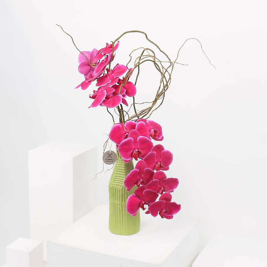 Purple Orchid | Green Vase 2