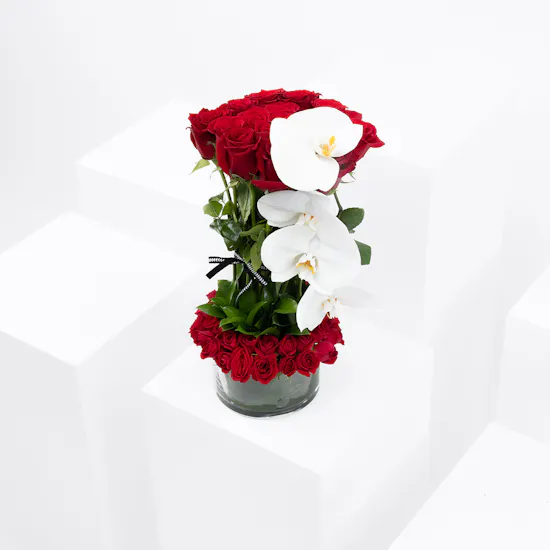 Zinnia | Roses & Orchids