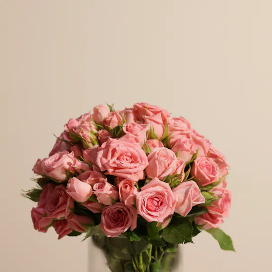 Delicate Pink Baby Roses Vase
