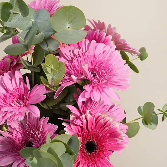 Floward Card 100 USD | Happy Frequency Flower Vase