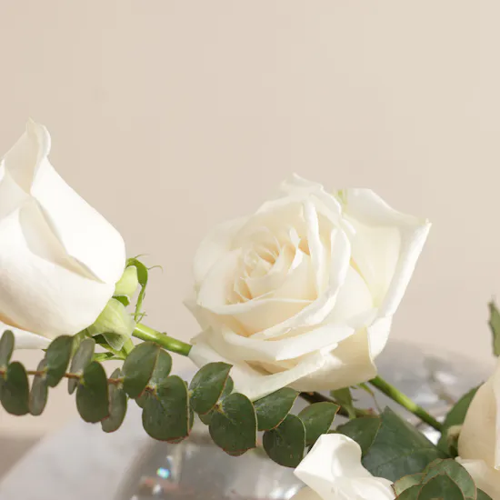 Charming White Rose Flower Vase