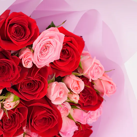 Hanoverian Caramel Chocolate | Roses