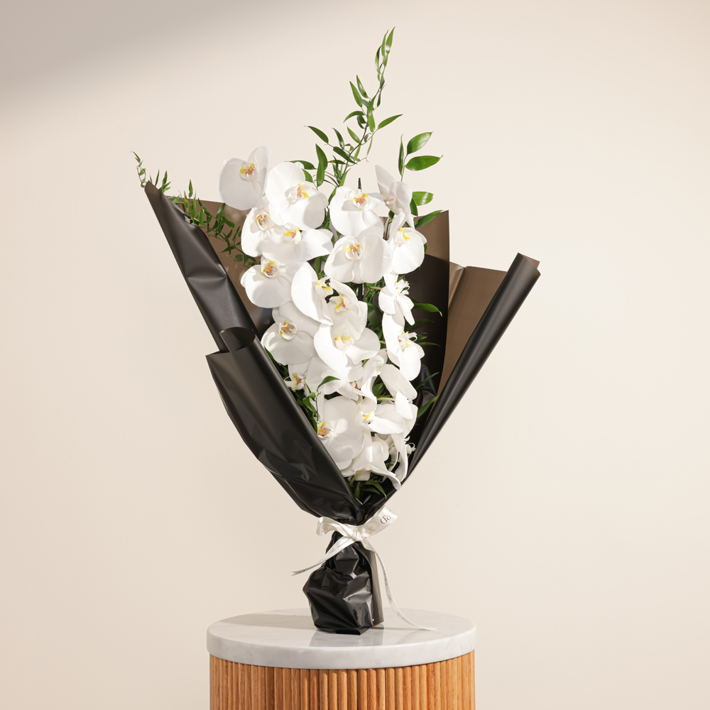 تناغم السماء