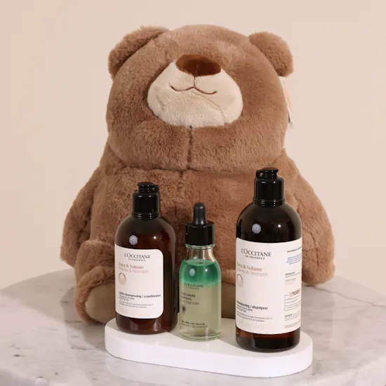 L'Occitane Volume and Strength Hair Care Trio | Floward Small Cuddly Brown Plush Bear Toy