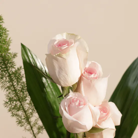 Patchi Les Choco Noix Chocolate Box | Joyful Touch Flowers Vase