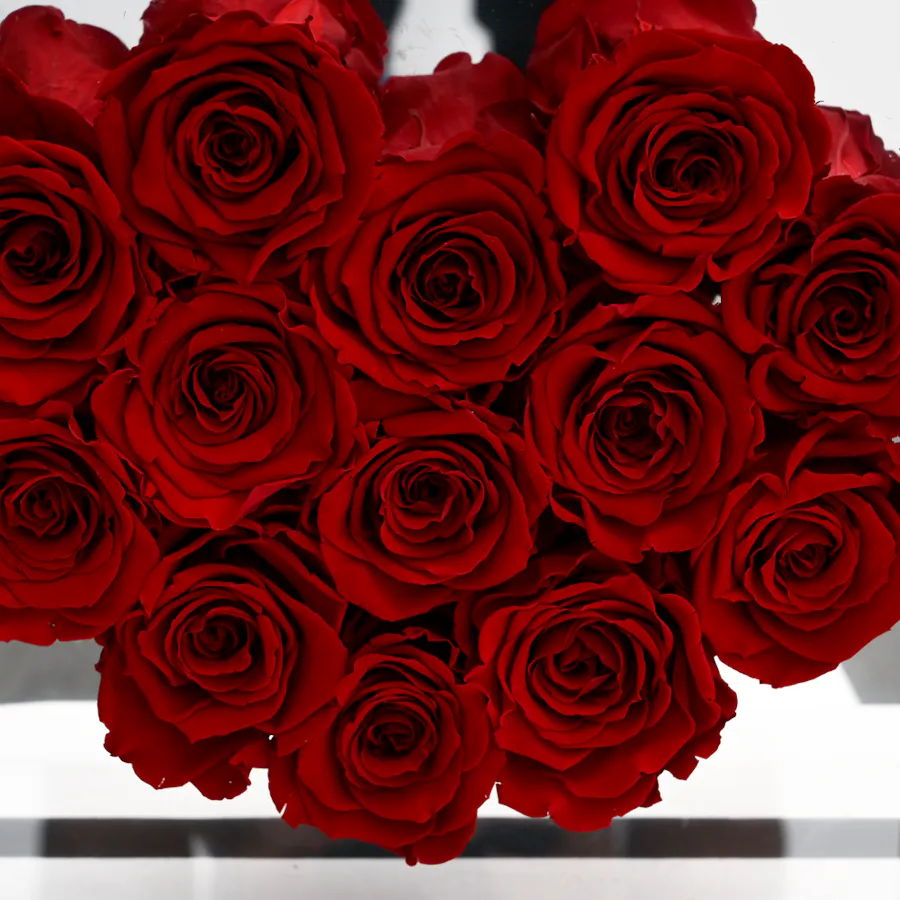 Preserved Red Roses | Acrylic Box 3