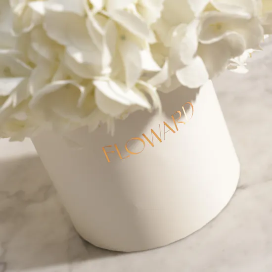 Dreamy White Hydrangea Box | 6 Flowers